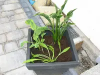 006_1024x768.webp