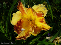 P1120610.webp