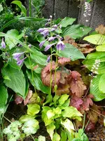 P1120580.webp