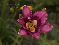 IMG_3776.webp