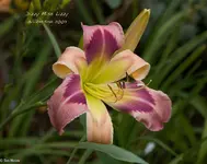 IMG_3782-2.webp