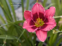IMG_3791-2.webp