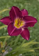 IMG_3798-2.webp