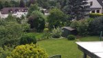 IMG_20160629_162054.jpg