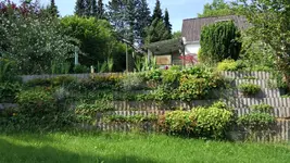 IMG_20160629_165307.webp