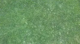 tmp_20717-20160715_184152592189666.jpg