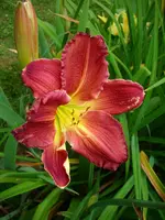 DSCI4234.webp