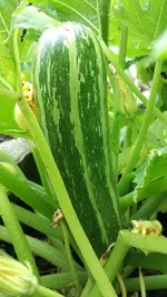 IMG_20160713_162302.webp