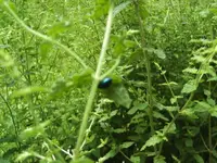 BILD5330.webp