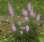 DSCI0922.webp