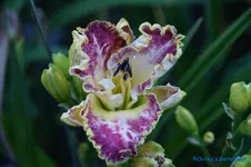 comp_DSC05462.webp