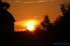 comp_DSC05466.webp