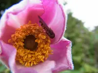 022.webp