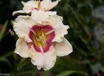 IMG_3790-3.webp