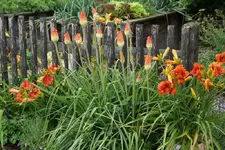 DSC06603.webp