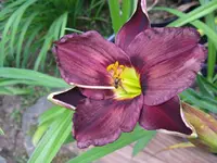 dark of night_1024x768.webp