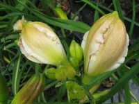 007_1024x768.webp