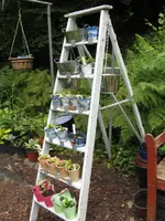 010_576x768.webp