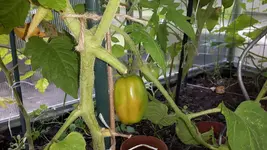 20160716_160431.jpg