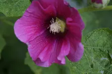 _DSC0781.webp
