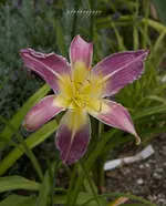 IMG_3926-2.webp