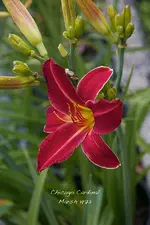IMG_3978-2.webp