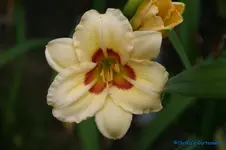 Pondoras Box.webp