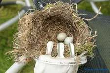 comp_DSC05468.webp