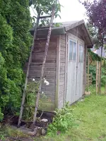 IMGP9559.webp