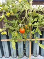 20160716_173658_b.webp