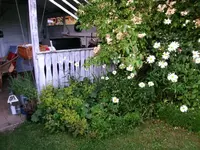 2016-07-16 Pavillonbeet - gut für Eyes for you.webp