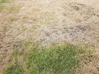 20160625_181711.webp