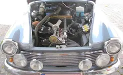 2Takter mutabilis.webp