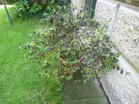 P1030761.webp