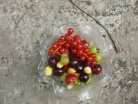 k-P1120024.webp