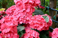IMG_1062.webp