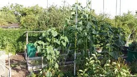 20160717_181252.webp