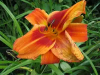 outr_1024x768.webp