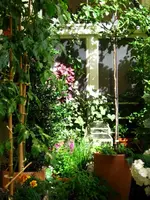IMG_6120.webp