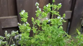20160717_192214.jpg