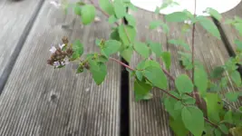 20160717_192241.jpg