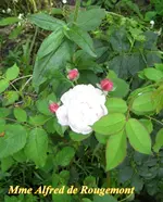 IMG_6561.webp