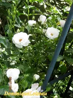 IMG_6573.webp