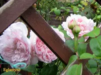 IMG_6624.webp