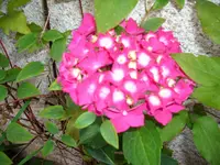 DSCI4257.webp DSCI4257.webp