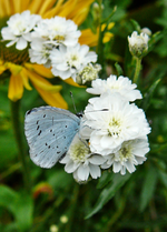 P1120630.webp