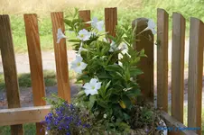 comp_DSC05483.webp