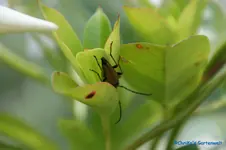 comp_DSC05482.webp