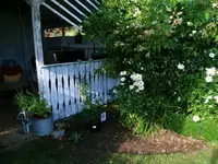 2016-07-17 Bobby James Beet.webp