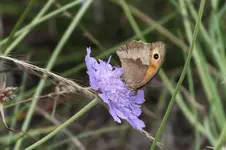 DSCF6853.webp